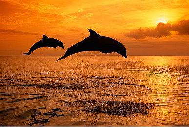 合作清版动作《英勇无厌》11.16发售 试玩版已上线